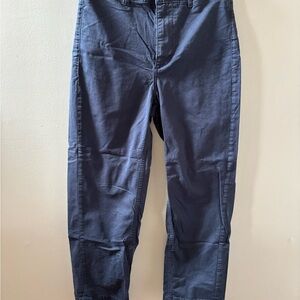 Everlane Straight Leg Blue Pants